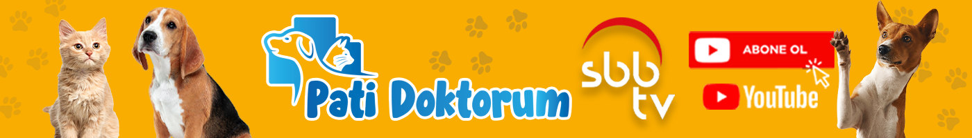 Pati Dokturum